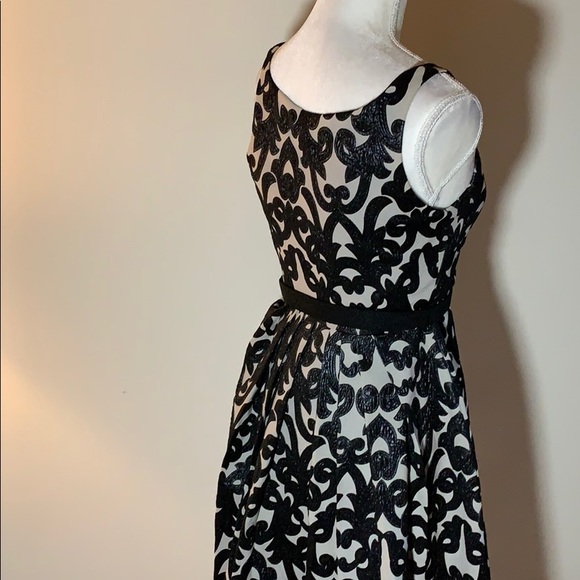 Eva Franco Black and Tan Jacquard Fit &Flare Dress - Picture 5 of 7